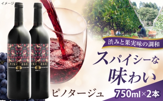 ピノタージュ 2本 750ml×2 赤ワイン 国産 島根県雲南市/有限会社奥出雲葡萄園 [AICS106]