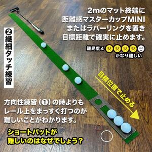 タッチがわかるパット練習レール 2枚組（標準・高速）工房製