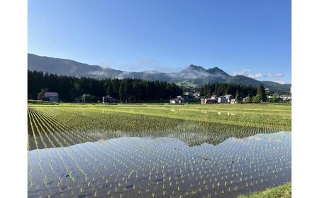 【魚沼産コシヒカリ　精白米５ｋｇ】南魚沼塩沢産　従来型コシヒカリ