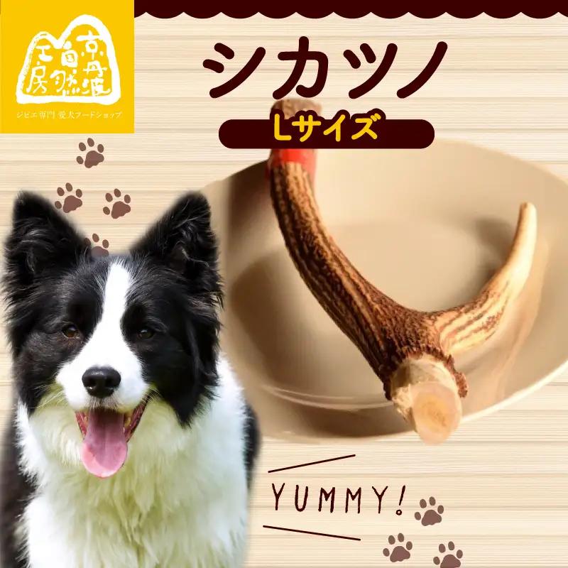 シカツノ Lサイズ 鹿の角(犬 歯磨き ペット用品 おもちゃ