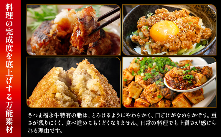 さつま福永牛 ミンチ肉 二度挽き 250g×2パック 福永畜産《30日以内に出荷予定(土日祝除く)》鹿児島県 さつま町 和牛 福永牛 ミンチ 二度挽き 粗挽き 肉 国産