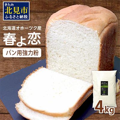 ふるさと納税 北見市 【北海道オホーツク産】パン用小麦粉(強力粉)　春よ恋　4kg