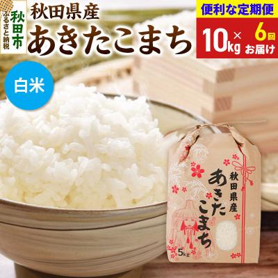 ふるさと納税 秋田市 《定期便6ヶ月》あきたこまち10kg 白米|15_kml-211006hs