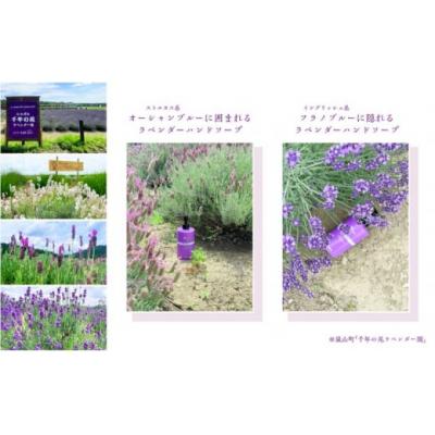 ふるさと納税 嵐山町 ピーズルーツ【ペリカン石鹸】ラベンダーハンドソープ3本セット [No5755-0314] |  | 03