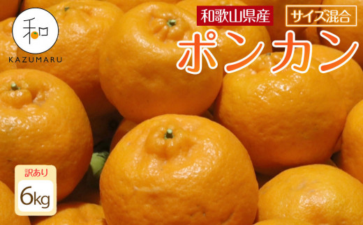 訳あり 森本農園の手選別 ポンカン 6kg 和歌山県産 サイズ混合 ［北海道・沖縄・離島配送不可］［RN14］［2026年1月上旬から順次発送］