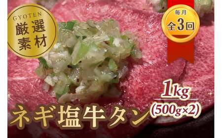 【ふるさと納税】毎月お届け3回 葱塩牛タンスライス500g×2