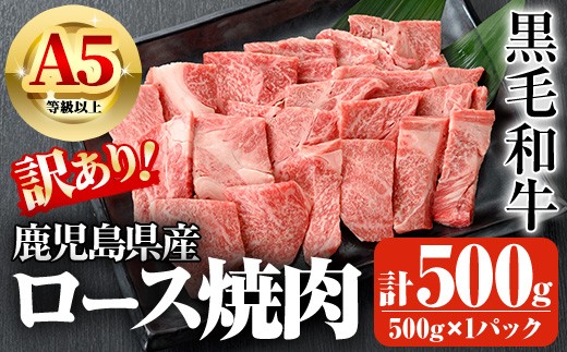 鹿児島県産A5等級以上黒毛和牛・ロース不揃い切り落とし焼肉 計500g(500g×1パック) 鹿児島県産 黒毛和牛 切り落とし【ビーフ倉薗】A521-v01