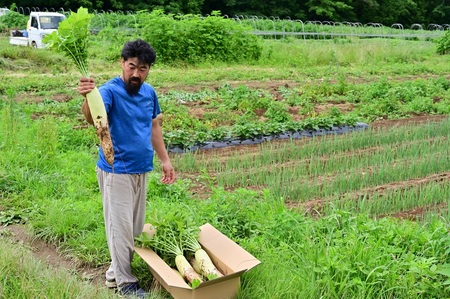 【先行予約】北杜市明野産 「葉付き大根」10本セット（10kg程度）