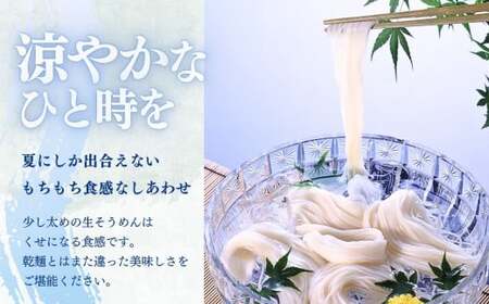 生そうめん 12食　ストレートつゆ付 夏季限定 黄金製麵 C0532 岩手県 北上市