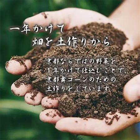 【先行受付】ミシュラン店多数採用!京都産 白いとうもろこし 京都舞コーン 10本 朝採れ【配送不可地域：離島・北海道・沖縄県・東北・九州】【1139225】