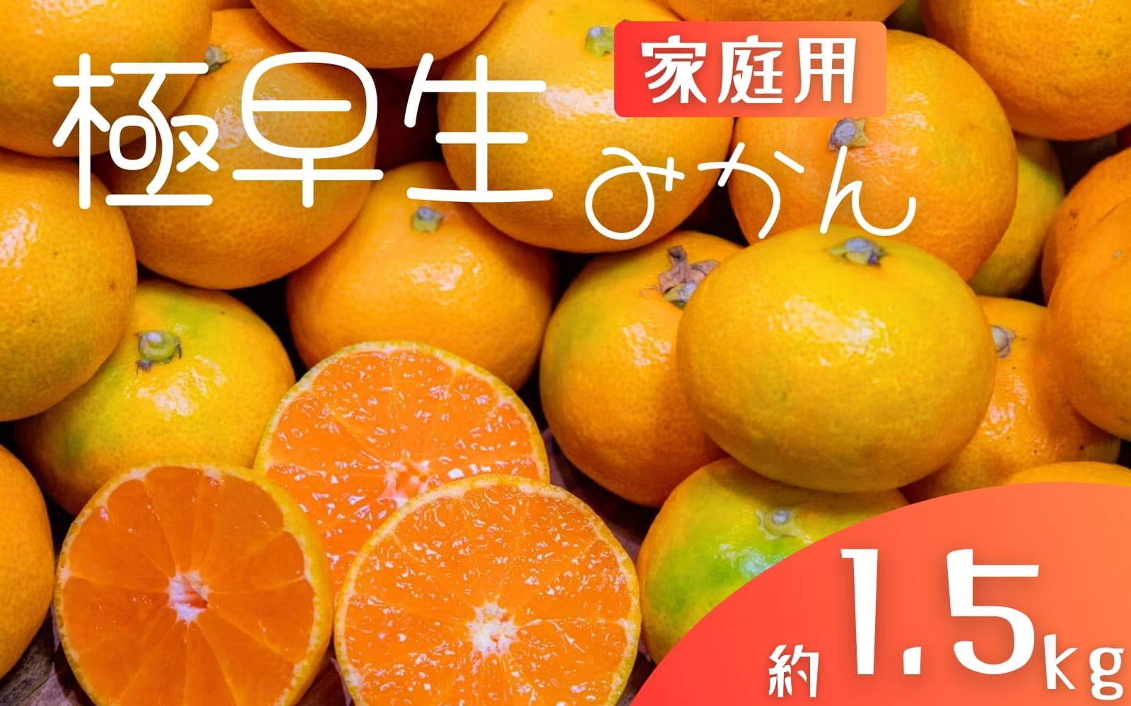 
            極早生みかん 約1.5kg みかん 産直 サイズ混合 みかん 早生みかん 果物 くだもの フルーツ 温州みかん 和歌山 柑橘 オレンジ【2025年10月上旬～下旬頃に順次発送】【mrmt001】
          