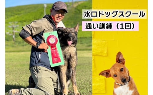 水口ドッグスクール 通い訓練 (1回)｜犬 しつけ レッスン トレーニング 競技 飼い主 印西 千葉 [0508]