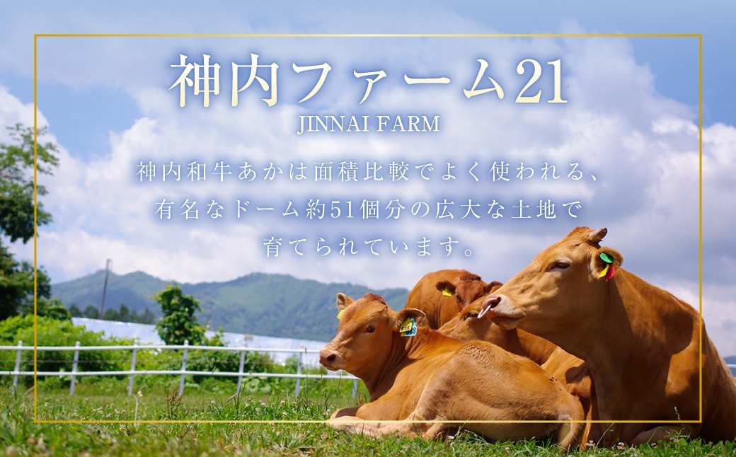 神内和牛あか100%ビーフハンバーグ