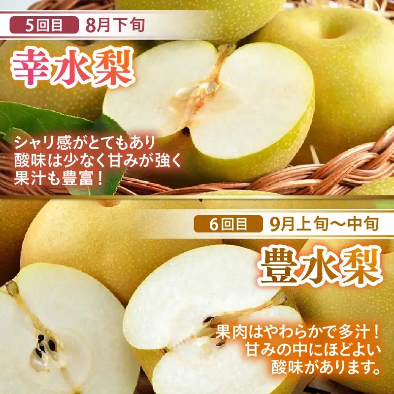 【先行予約】《全7回》あわら大満足 7種 フルーツ定期便 《あわらの旬が満載！》／ 果物 旬 食べ比べ 贈り物 定期便 マルセイユ アンデス アールス 大玉スイカ 梨 柿 ※2027年6月中旬以降順次