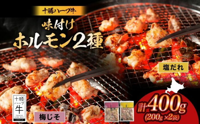 
            北海道 十勝ハーブ牛 味付けホルモン2種×各200g（塩だれ・梅じそ）北海道産 焼き肉 やきにく ミックスホルモン 味付き 塩ホルモン 梅 紫蘇 しそ 和風 焼肉用 BBQ 《足寄町》 【日本ふるさと創生株式会社】 [BEBB055]
          