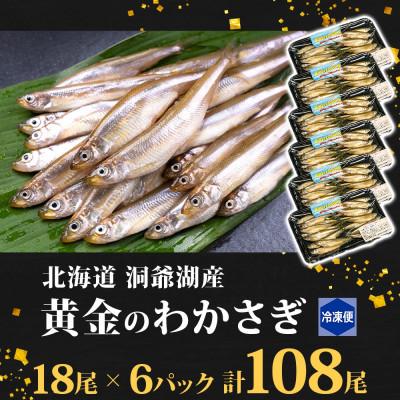 ふるさと納税 洞爺湖町 北海道 洞爺湖産 黄金のわかさぎ  18尾×6P 計108尾 |  | 03