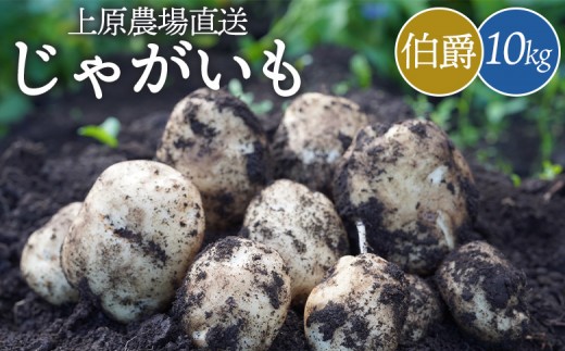 
            【先行予約】上原農場直送　じゃがいも（伯爵） 10kg【S～2Lサイズ混合】｜ いも おいも 芋 イモ ジャガイモ ポテト はくしゃく 予約 男爵 だんしゃく オンライン 申請 ふるさと納税 北海道 中標津 野菜 根菜 産地直送 新鮮 採れたて 粉ふきいも じゃがバター フライドポテト 10キロ 中標津町【66003】
          