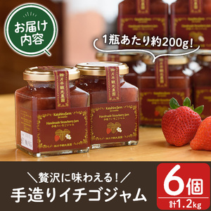 No.299 手造りイチゴジャム(約200g×6本) 国産 九州産 鹿児島県産 いちご イチゴ 苺 ジャム フルーツ 果物 手作り 手造り 調味料 小分け 贈答 プレゼント 着色料無添加 保存料無添加