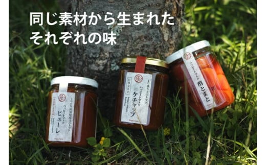 トマト調味料 ハッピートマトCセット ケチャップ 酢とまと ピューレ 3本セット 詰め合わせ ギフト 贈り物 ご贈答 自然 甘さ 酸味 上品 繊細 ミニトマト リンゴ酢 ピクルス フルーティー 濃厚 高糖度 砂糖不使用 塩のみ ラッピング のし対応 ハッピーファーム 240g 3種 安芸市 高知県
