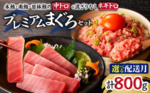 まぐろ専門店 湊魚問屋プレミアムまぐろセット【9月お届け】　M005-056-09