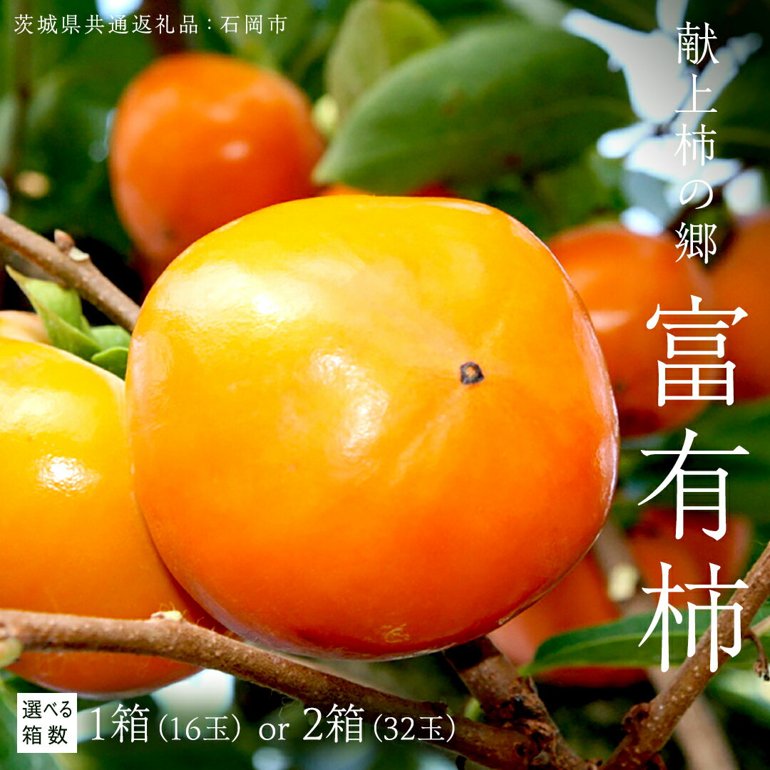 【ふるさと納税】《 選べる 玉数 》 献上柿の郷 富有柿 16玉 32玉 ( Lサイズ 16玉 × 1～2箱 ) ( 茨城県共通返礼品 石岡市) 2025年11月中旬発送開始 数量限定 果物 くだもの フルーツ 柿