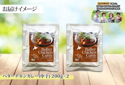 1439. 弟子屈 バターチキンカレー 2個 中辛 チキン 鶏肉 業務用 レトルトカレー レトルト スパイス 即席 ご飯のお供 保存食 備蓄 非常食 北海道 弟子屈町