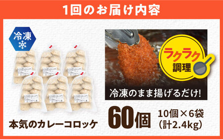 【全6回定期便】三富屋さんの本気のカレーコロッケ60個 2.4kg【三富屋商事株式会社】[AKFJ060]