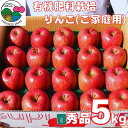 【ふるさと納税】有機肥料栽培 りんご「サンふじ」5kg（20玉）ご自宅用 【2024年12月上旬頃～下旬頃発送予定】 ／ お取り寄せ ご当地 特産 産地直送 果物 フルーツ 林檎 リンゴ 大人数 果物 東北 2024年産 令和6年産 山形県産 5キロ