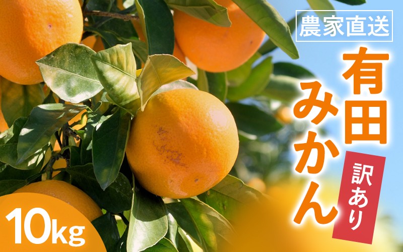 
                  【訳あり】 有田みかん 約10kg 家庭用 サイズ混合 【年】【nuk138H】
                
