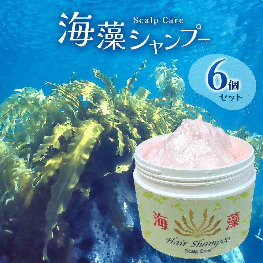 【ふるさと納税】50年超のロングセラー 海藻 シャンプー 6個 セット | ロングセラー 石鹸シャンプー コラーゲン ノンシリコン 海藻抽出成分 美容 頭皮 保湿 健康 調布 東京都 送料無料