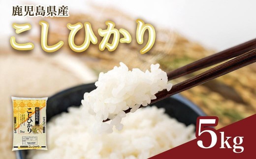 
                  【精米】令和8年産新米 先行受付 大崎産「コシヒカリ」5kg
                