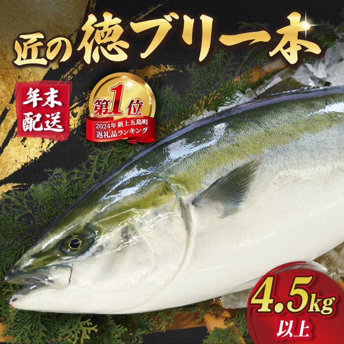 【ふるさと納税】【12/27～12/30お届け】【着日指定必須】【人気ランキング1位獲得！】匠の徳ぶり 上五島産 （4.5kg以上）【徳丸】 [RAC001] ぶり ブリ 鰤 ぶりしゃぶ 刺身 鮮魚 海鮮 魚 国産 年末 正月 年内配送 鍋 日付指定 年内発送 年末配送