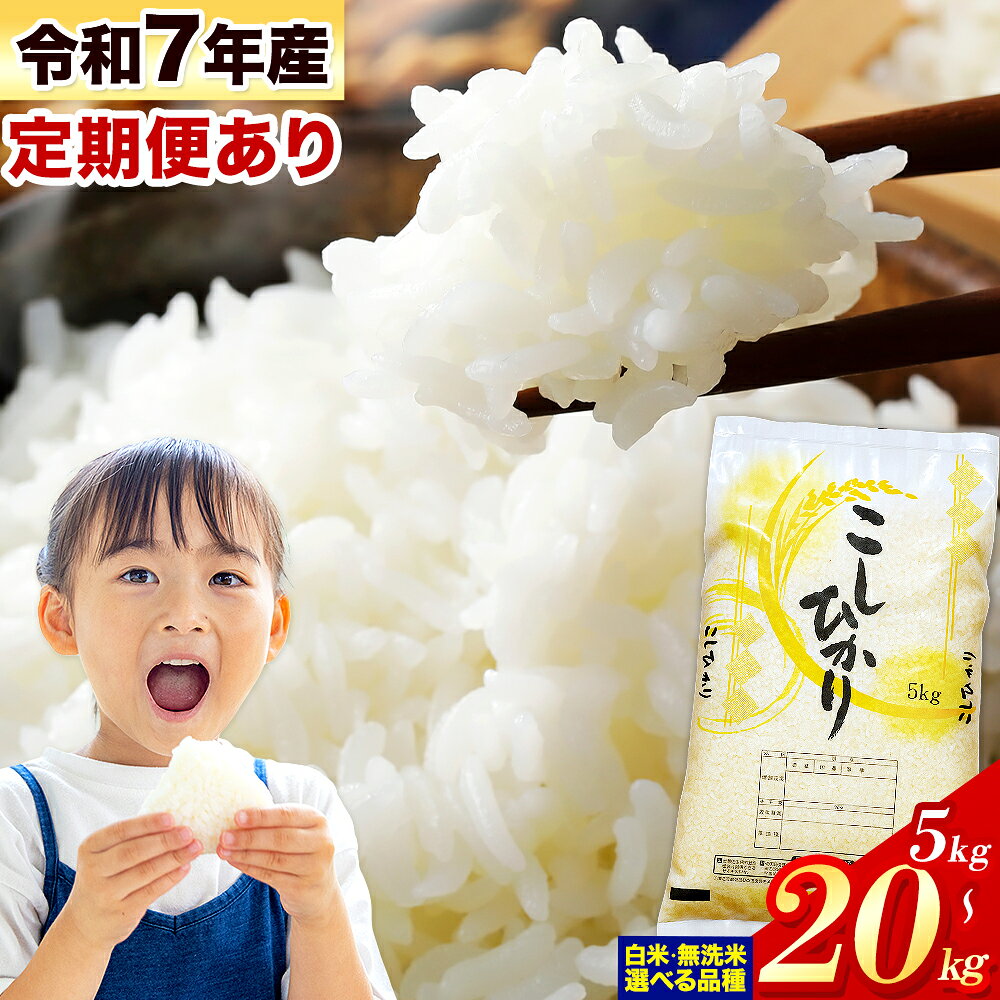 【ふるさと納税】令和7年産 無洗米 も選べる こしひかり 5kg 10kg 20kg 定期便 3ヶ月 6ヶ月 12ヶ月 12回 も選べる《選べる出荷時期》熊本県産 ふるさと納税 無洗米 白米 精米 ひの 米 こめ ふるさとのうぜい コシヒカリ コメ お米 おこめ