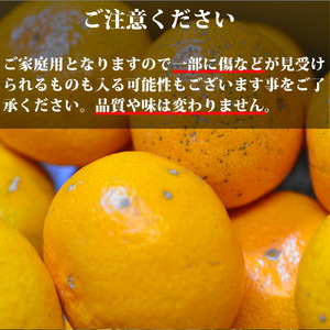 EA6036n_（訳あり 家庭用）濃厚な味わいのこだわり 有田みかん 10kg (早生みかん・大小混合)