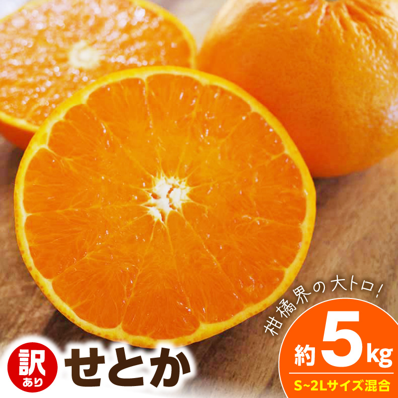 【2027年先行予約】《訳あり 家庭用》せとか 約5kg（S～2Lサイズ混合）_EQ6002