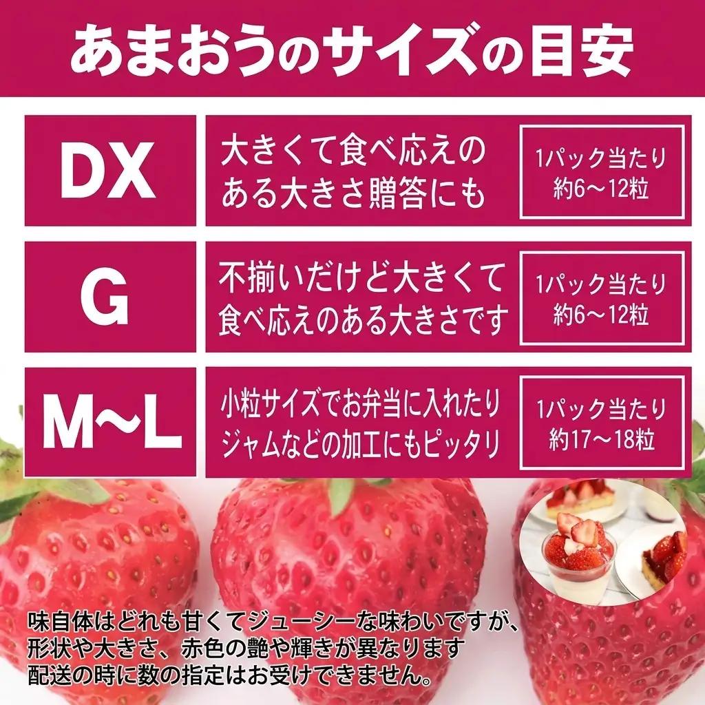 あまおう M～L 約1.04kg 約260g×4パックあまおう 果物 苺