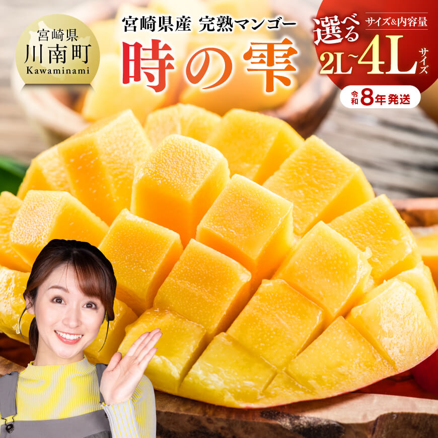 【ふるさと納税】※内容量が選べる※【令和8年発送】宮崎県産 完熟マンゴー「時の雫」 2Lサイズ～4Lサイズ - 果物 フルーツ マンゴー 宮崎県産 九州産 完熟マンゴー みやざきマンゴー 先行予約 数量限定 期間限定 送料無料 C08601 C08602 C08603 C08604