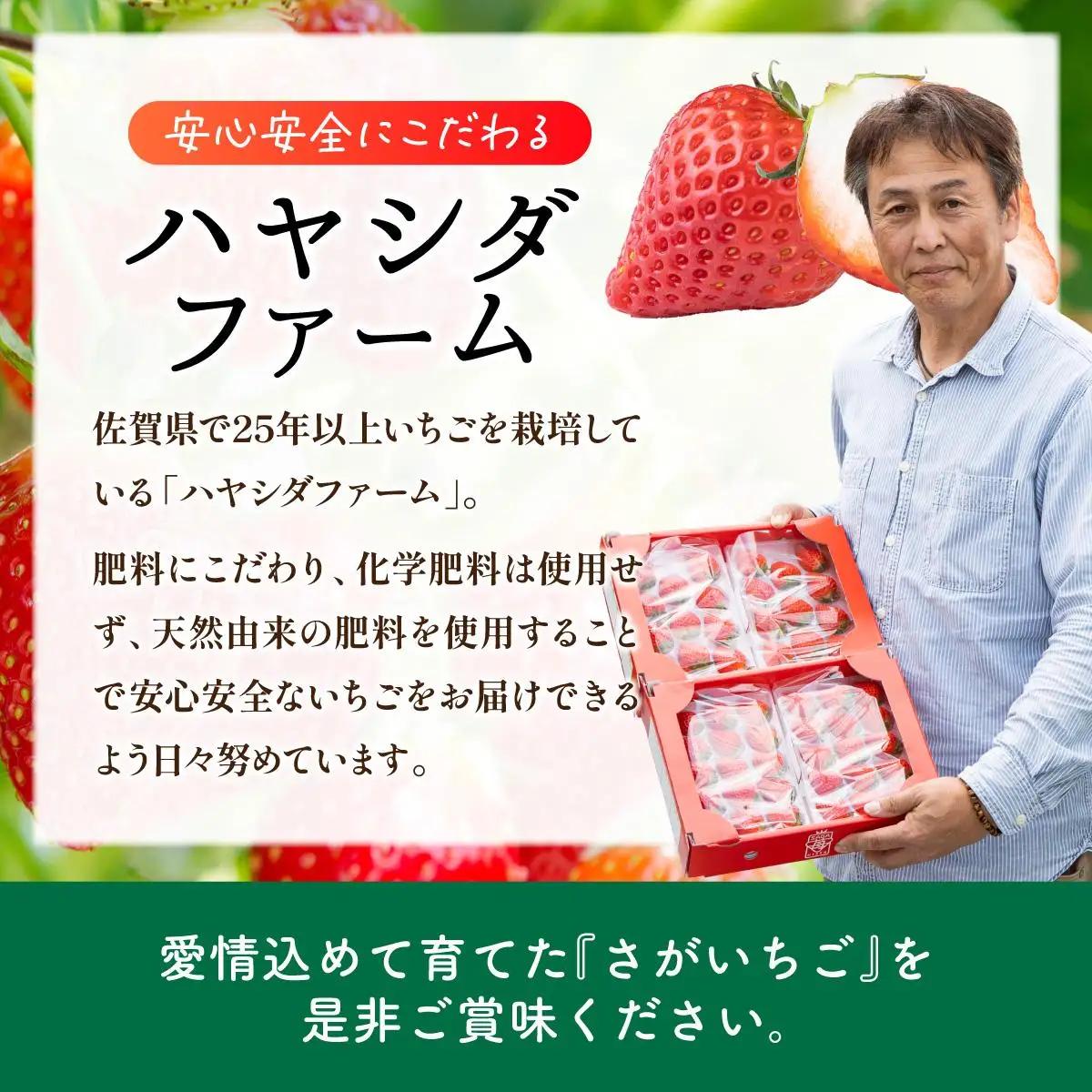 【先行予約】最高級品質”さがほのか” たっぷり1.9kg（235g×8p）