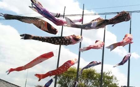 鯉のぼり（制覇3ｍ6点セット） 鯉のぼり セット 端午の節句 子供 お祝い 特別 福岡県 柳川市