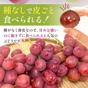 産地厳選! 長野県産 クイーンルージュ® 約1kg 秀品 〈2025年10月中旬旬～11月中旬発送〉 | 果物 くだもの フルーツ ぶどう ブドウ 葡萄 クイーンルージュ® 種なし 長野県 信州 南信