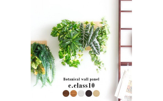 Botanical c.class 10　ブラウン