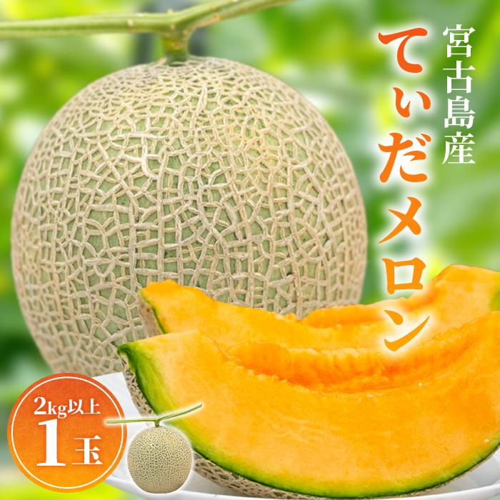 【ふるさと納税】【8farm】宮古島産てぃだメロン1玉（2kg以上）《2025年12月～1月発送》(JC005)