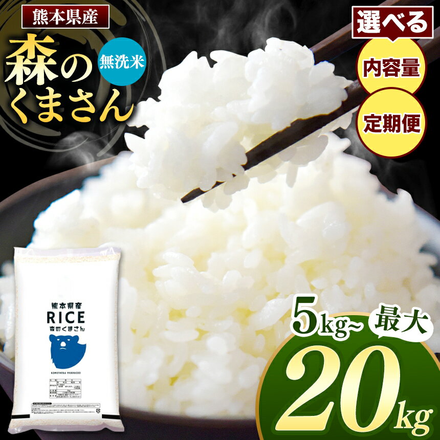 【ふるさと納税】米 無洗米 森のくまさん 内容量 回数 選べる 5kg 10kg 15kg 20kg 定期 1回 3回 6回 12回 熊本 玉名 送料無料