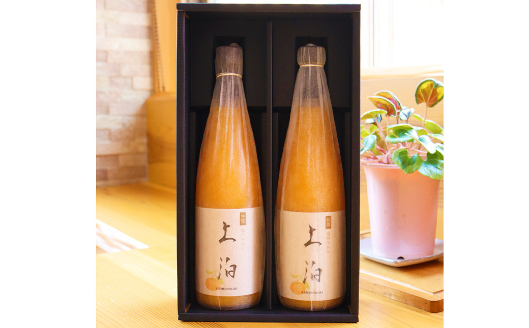 上泊 温州みかん ジュース （552） （720ml×2本）飲料 ドリンク 果物 フルーツ 柑橘