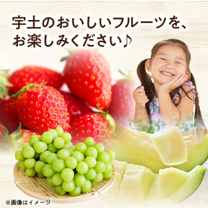 T007-natuiro　【宇土市】なついろ定期便