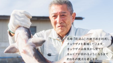【2023年11月中旬発送開始】 つくばスタージョン キャビア 20ｇ×1 キャビア 高級食材 記念日 誕生日 世界三大珍味 国産キャビア 茨城県産 茨城 [AI005sa]