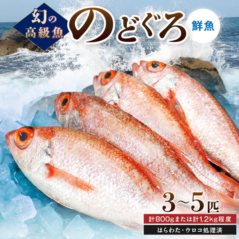 【ふるさと納税】【レビューCP対象】幻の高級魚「のどぐろ（鮮魚）」計800g～1.2kg程度 魚介 のどぐろ 鮮魚 高級魚 ふるさと納税 魚 旬 期間限定