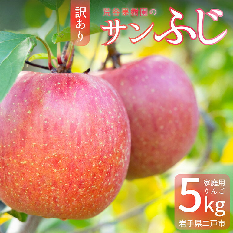 【ふるさと納税】 【訳あり】 サンふじ 約5kg 家庭用 053-0750x1