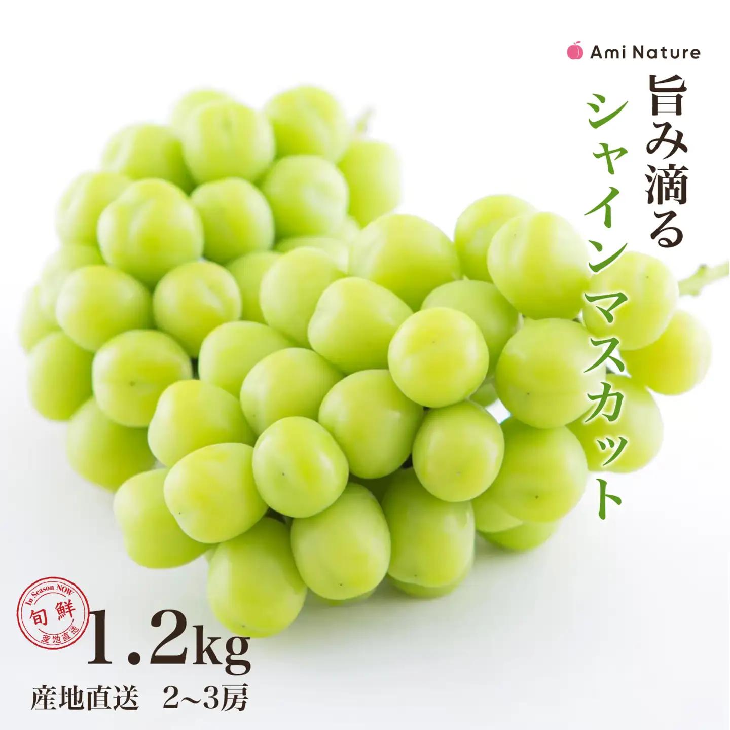 【2026年発送★先行予約】さわやかに滴るシャインマスカット 約1.2kg以上 065-023-26y