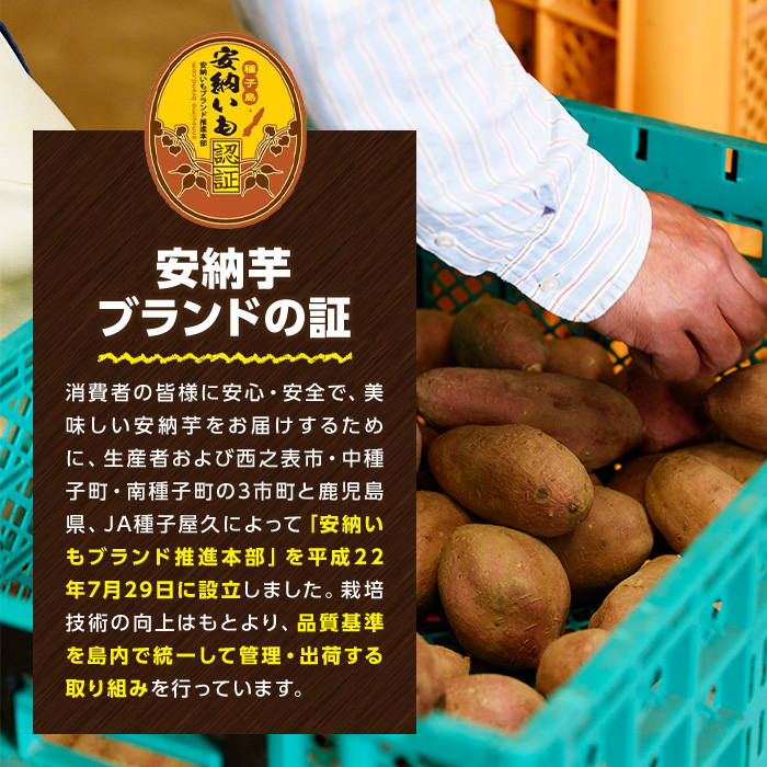 n222 ＜期間限定・数量限定！＞種子島産 安納芋(3kg)【種子島安納株式会社】